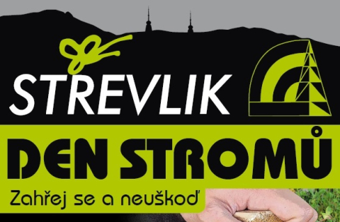 Den stromů je letos poprvé v Hejnicích